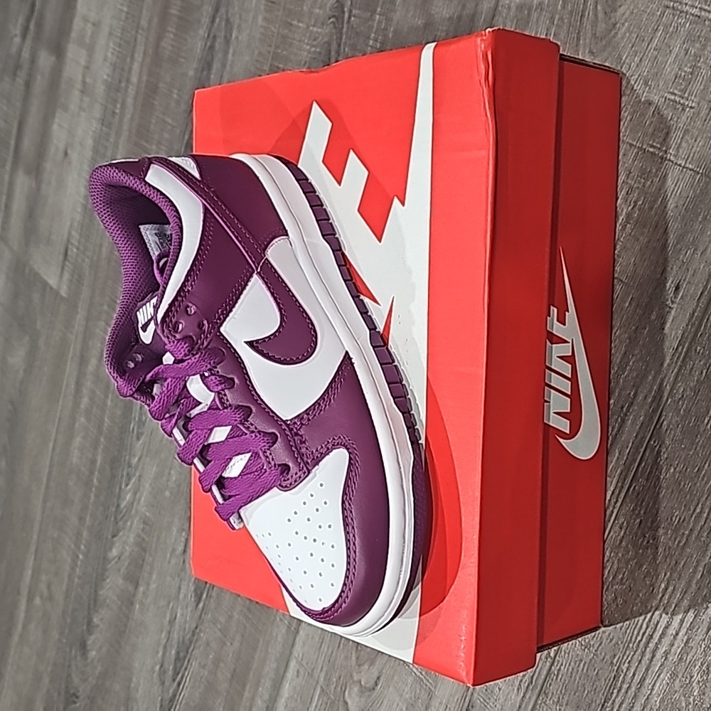 Kids Nike Dunk Low